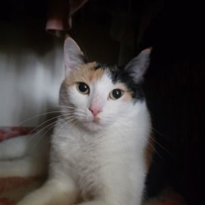 Meet your Posher, Wilma